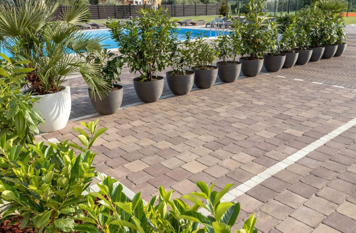 Pavajele - Pavaje - Antico P3 - Maro Patinat - Setting